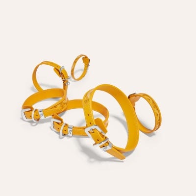 COLLIER_EDMOND Yellow