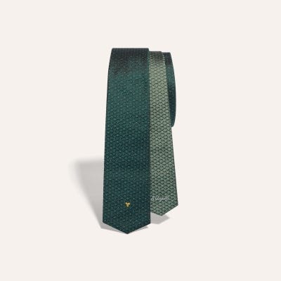 Eldredge Bicolore tie