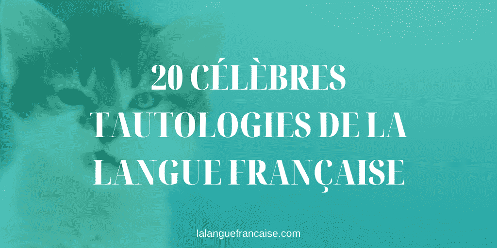 20 célèbres tautologies de la langue française