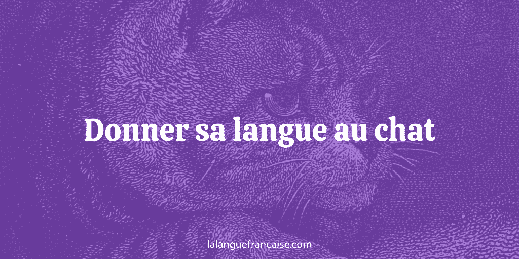 Donner sa langue au chat : définition et origine de l’expression