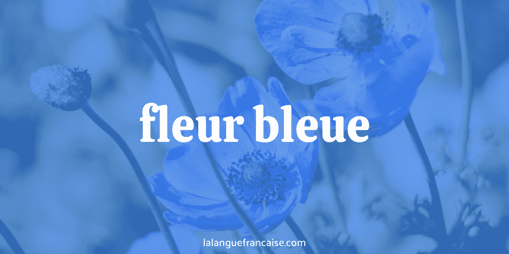 Fleur bleue : définition et origine de l’expression