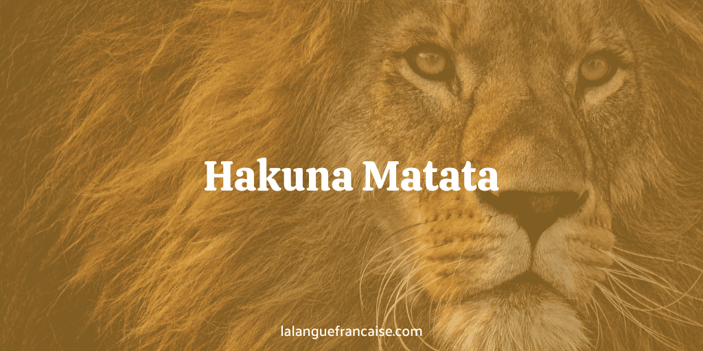 Hakuna Matata : définition et origine de l’expression