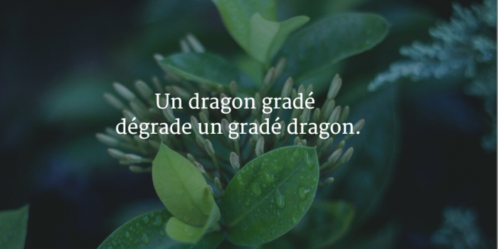 Un dragon gradé dégrade un gradé dragon. 