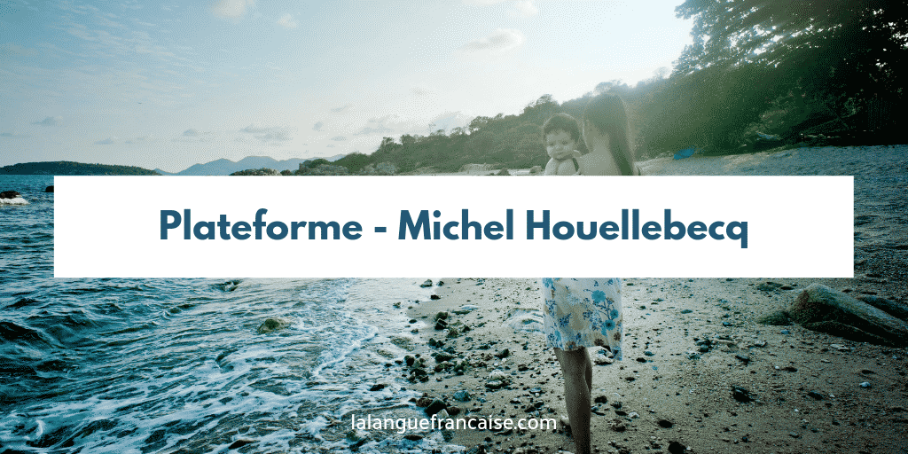 Michel Houellebecq : Plateforme - critique