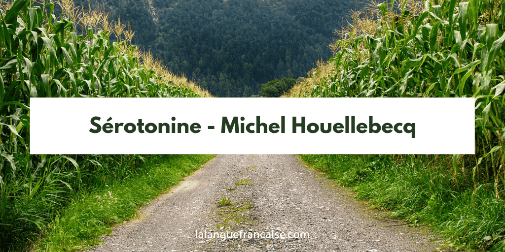 Michel Houellebecq : Sérotonine - critique